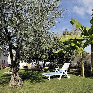 Apartment Vita Apartment Poreč